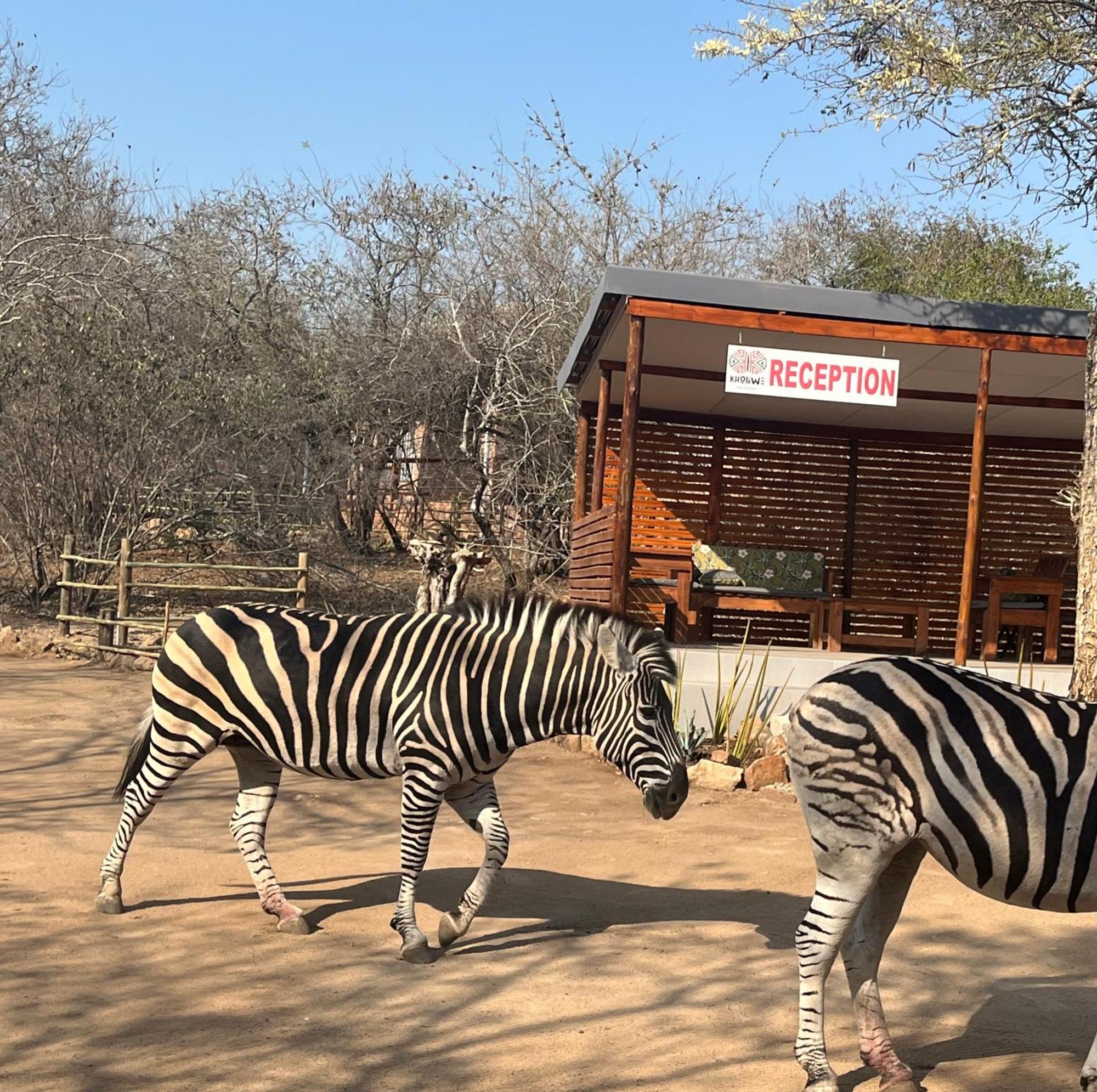Kholiwe On Kruger Lodge & Safaris Marloth Park Kültér fotó