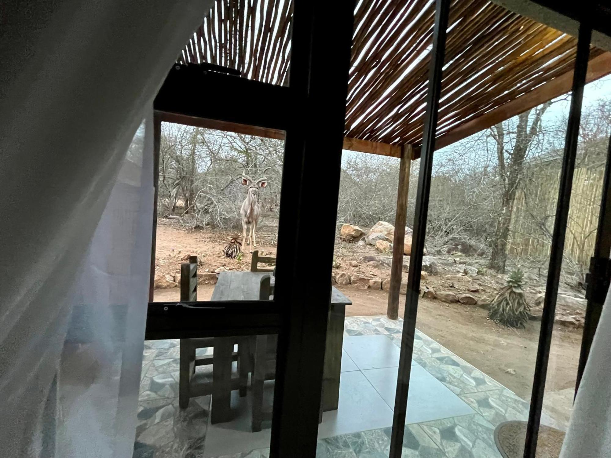Kholiwe On Kruger Lodge & Safaris Marloth Park Kültér fotó