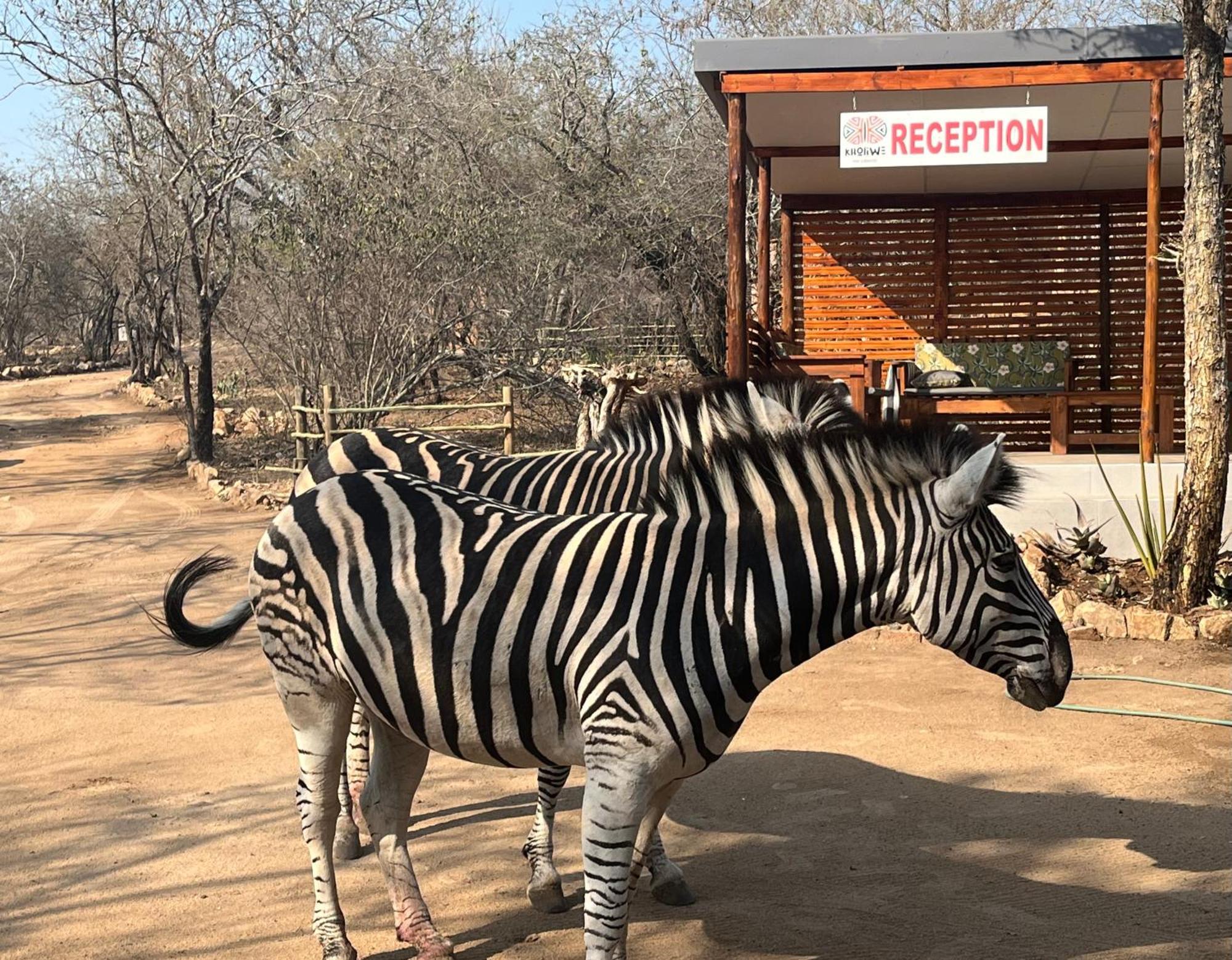 Kholiwe On Kruger Lodge & Safaris Marloth Park Kültér fotó