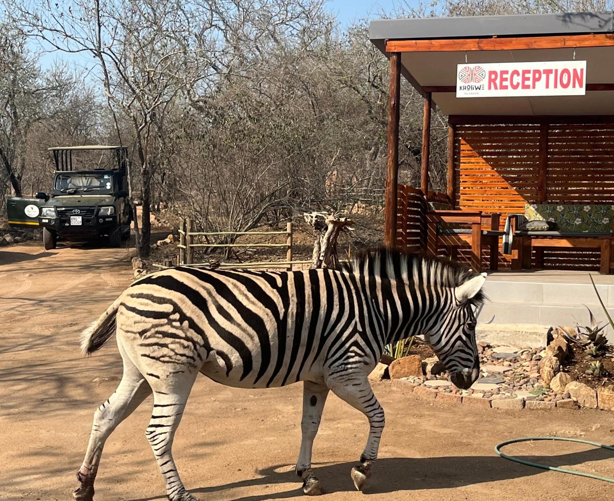 Kholiwe On Kruger Lodge & Safaris Marloth Park Kültér fotó